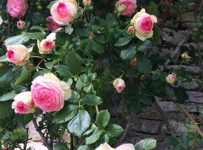 Couette-café Le Couvent 3*